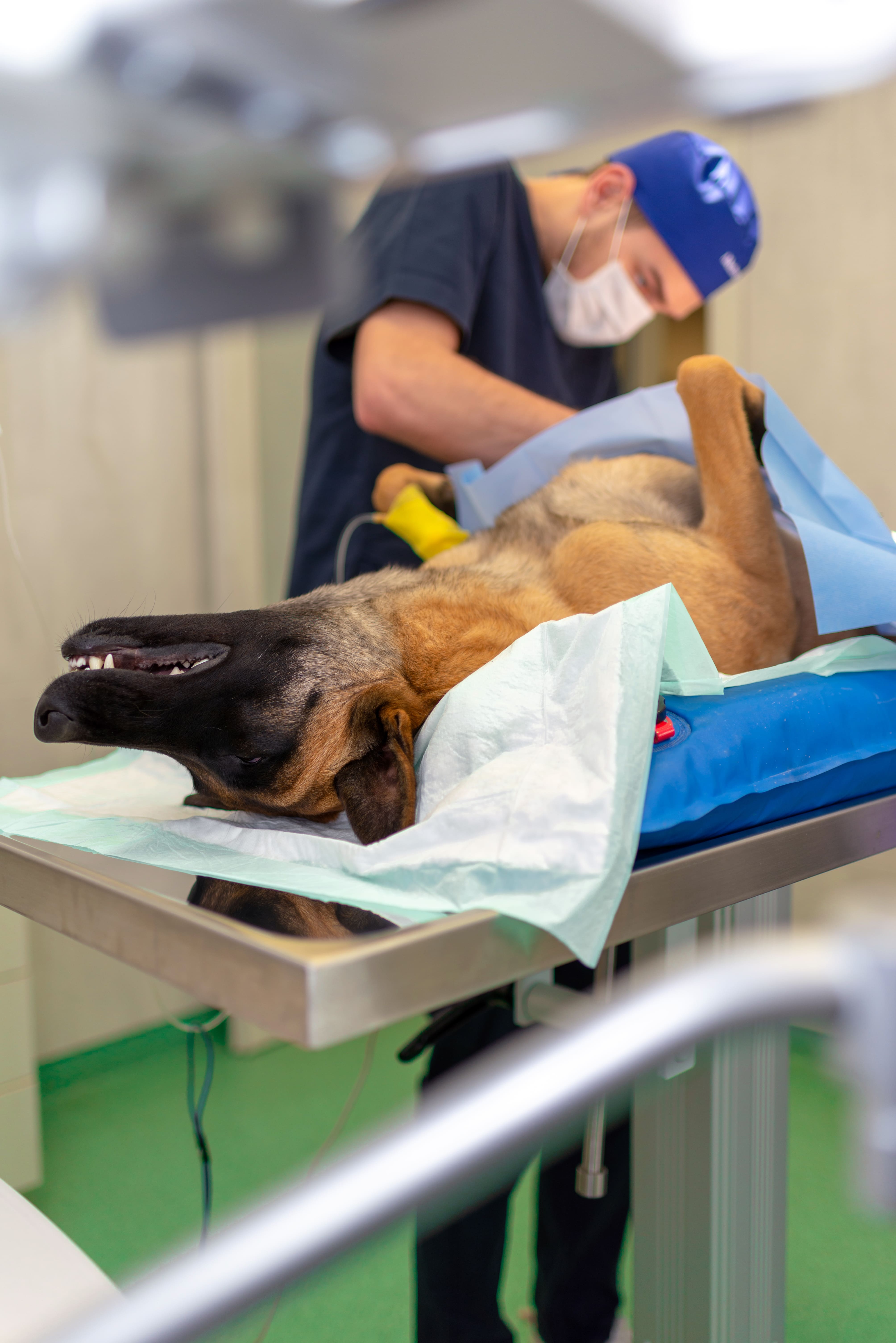 Diagnostico Avanzado Servicio